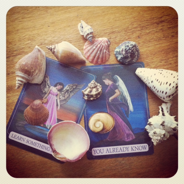 shells-and-cards