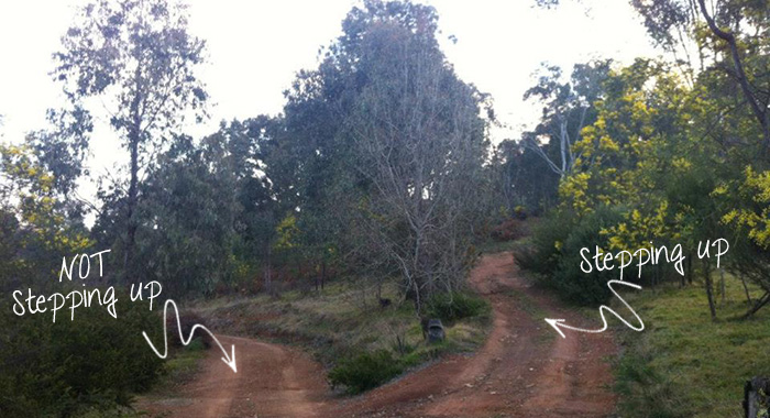 The cross roads... What happens if you DO step up? And what happens if you don't?