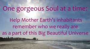 One gorgeous Soul at a time: my intent is to help Mother Earth’s inhabitants remember who we really are, as a part of this Big Beautiful Universe.
