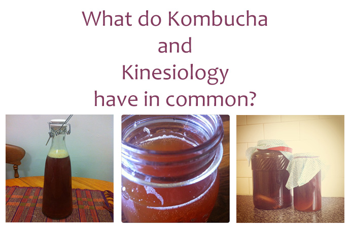 What Kombucha and Kinesiology have in common