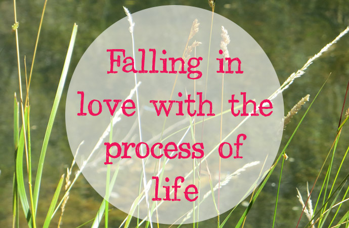 Falling in love with the process of life
