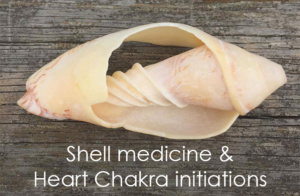 Shell medicine heart chakra initiations