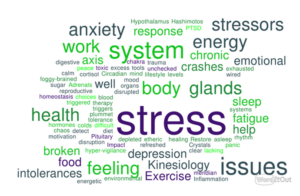 Is your stress response broken?