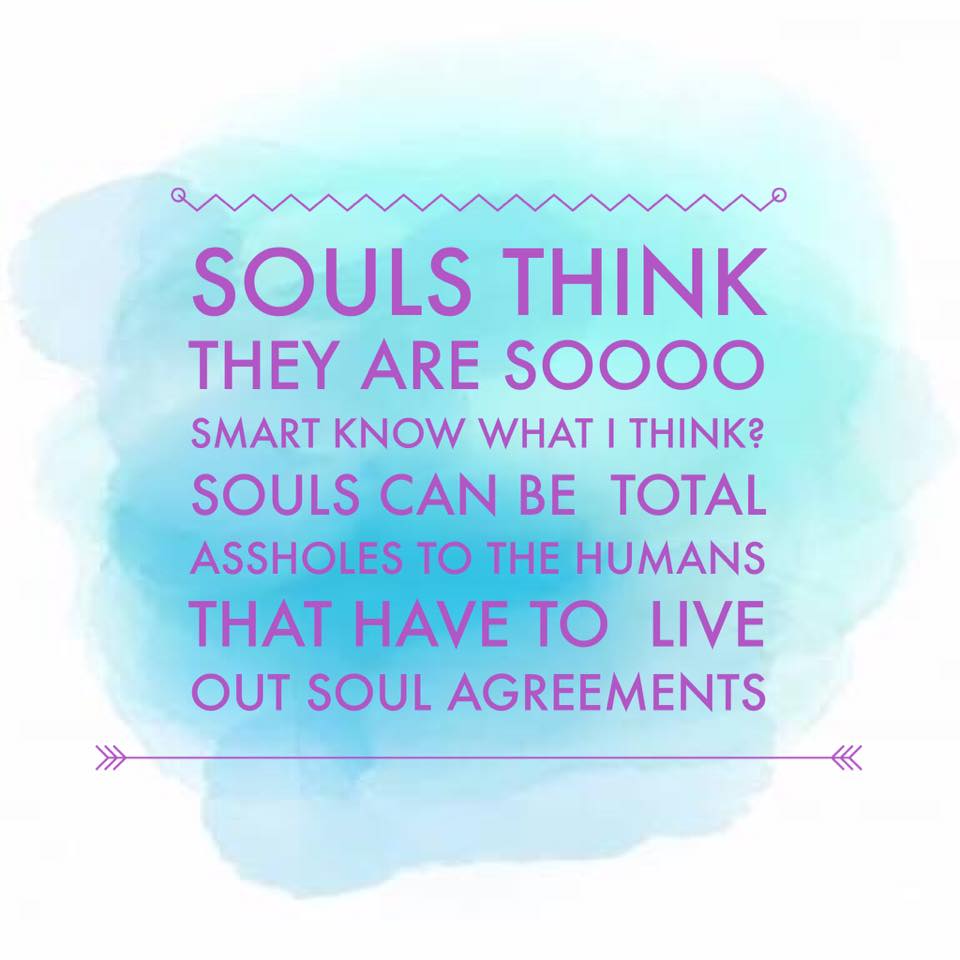 "Souls think they're sooooo smart. Know what I think? Souls can be total assholes to the humans that have to live out soul agreements."