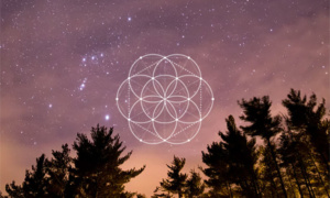 Reconnect Yourself - a free guided meditation