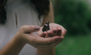 On Being Broken Open