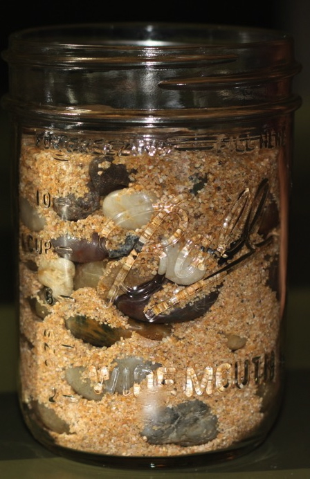 A jar full of rocks, pebbles and sand