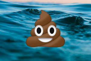 To live in shit ocean or not live in shit ocean?